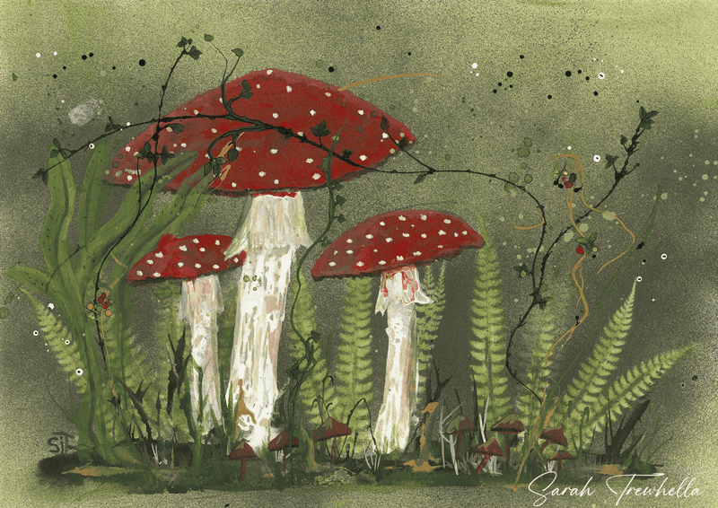 Hidden in the Woods