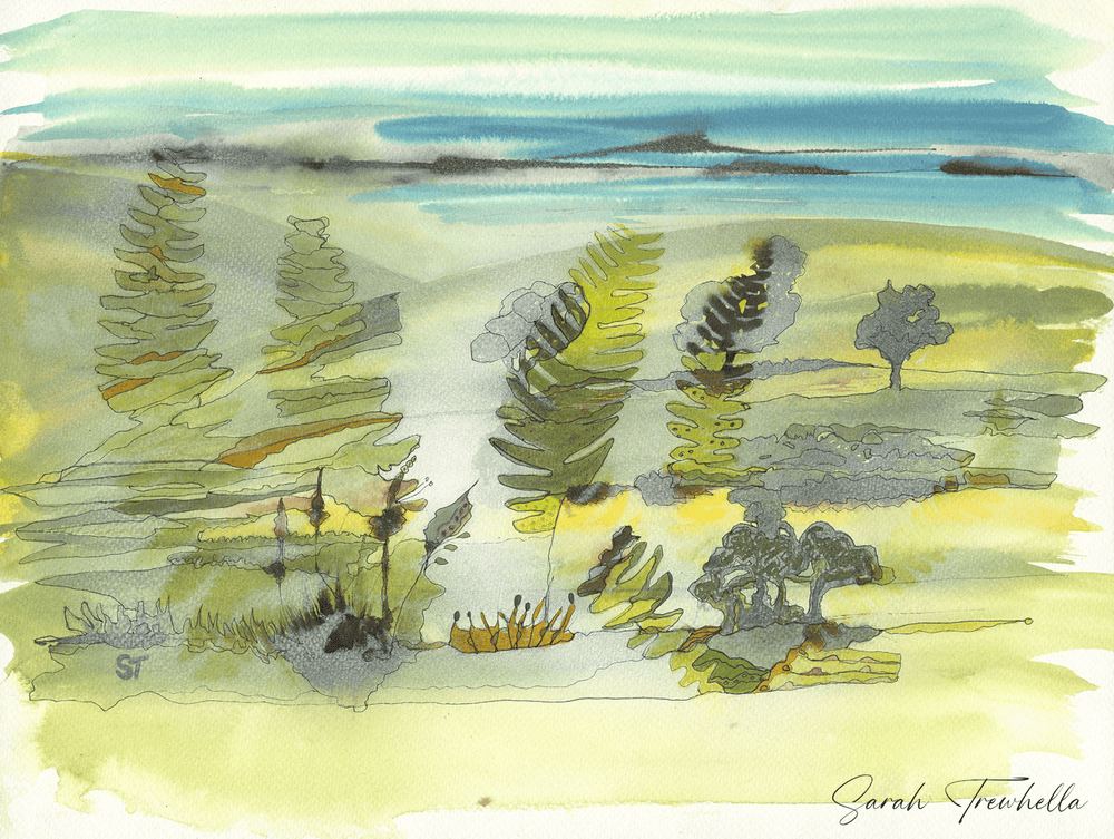 Misty Morning