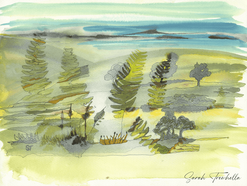 Misty Morning