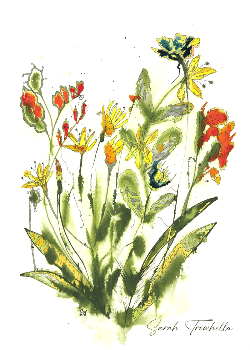Spring Dispersion