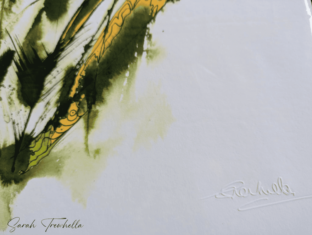Spring Dispersion
